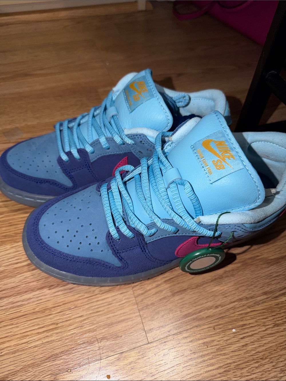 Nike dunk SB